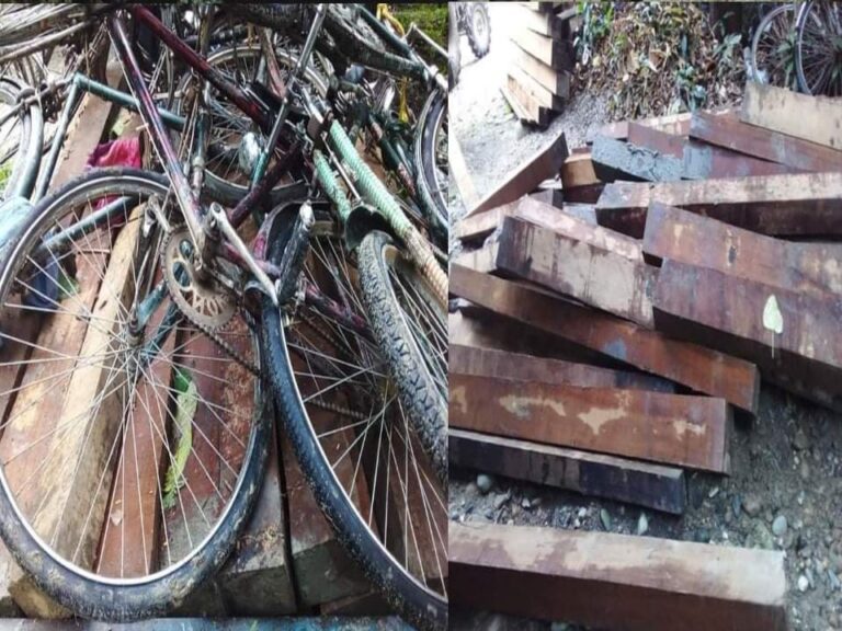 गैडाटारको हिलेखोलाबाट ५१ थान कडीसहित एक जना पक्राउ