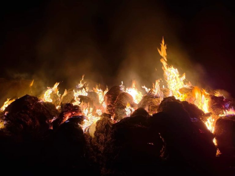 तिन बिगहाको धानमा अज्ञात ब्यक्तीद्वारा आगजनी