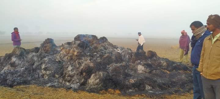 फतुवा बिजयपुरको सितलपुरमा किसानको धानमा अज्ञात समूह द्धारा आगजनी,लाखौंको क्षती