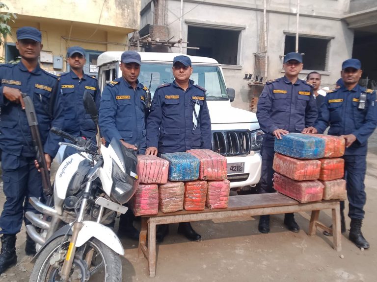 रौतहटको राजपुरबाट ९१ किलो गाँजा प्रहरीले बरामद