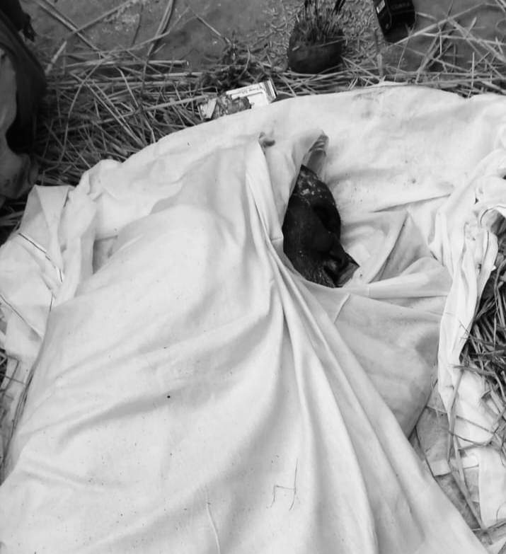 रौतहटको कटहरियामा चिसोले कठ्यांग्रिएर एक जना वृद्धको मृत्यु