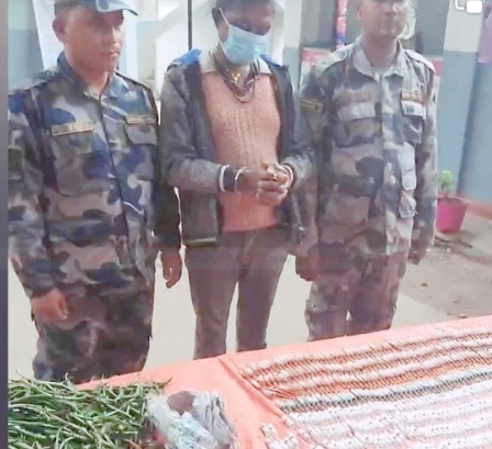 बिरगंजबाट हरियो खुर्सानीको बोरामा लागुऔषधसहित एक जनालाई पक्राउ