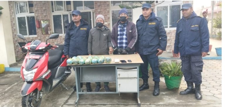 बाराबाट १३ किलो अफिम र नगदसहित २ जना पक्राउ